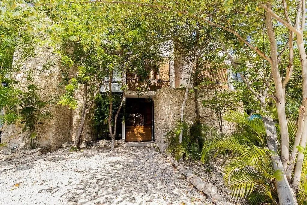 Great Value Luxury Minutes From Beaches Apartment Tulum